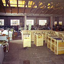 Storia del marchio