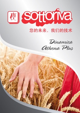 Chinese DINAMICA e ATHENA PLUS